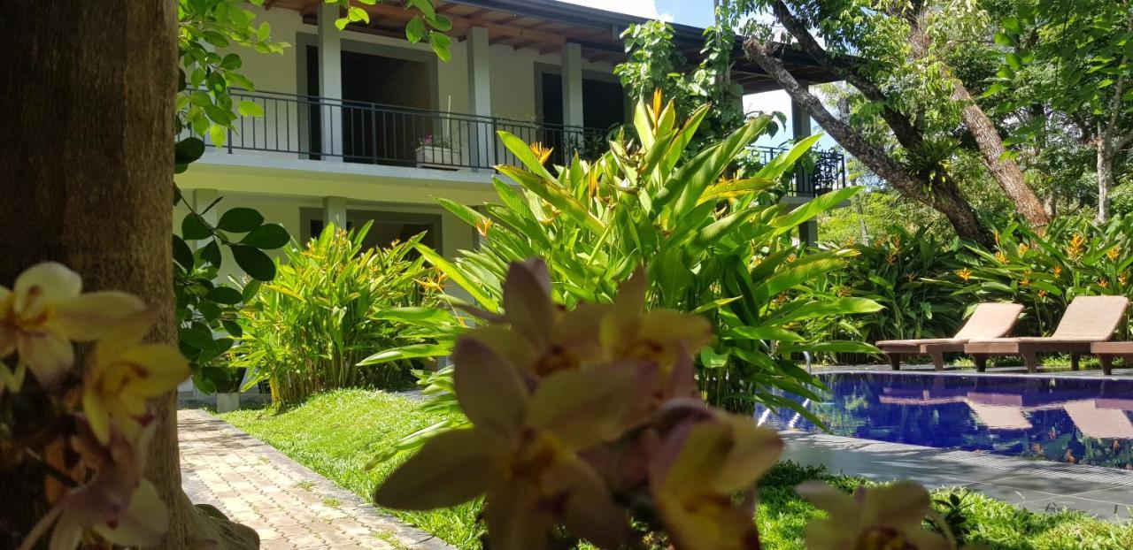 Il Frangipane Hotel สิกิริยา ภายนอก รูปภาพ
