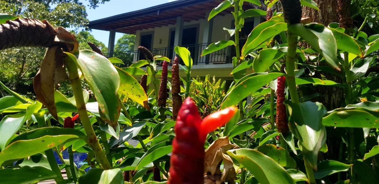 Il Frangipane Hotel สิกิริยา ภายนอก รูปภาพ